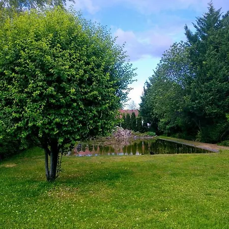Vadvirag Panzio Hotel Ágfalva