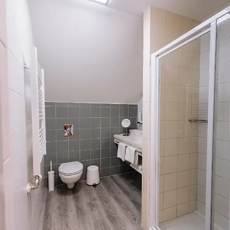 Hotel Vadvirag Panzio 4*