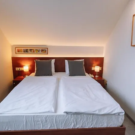 Hotel Vadvirag Panzio