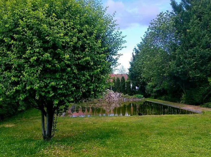 Vadvirag Panzio Hotel Ágfalva