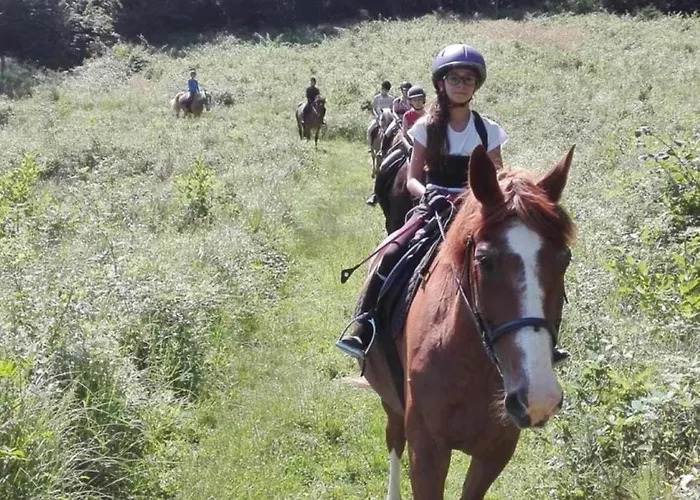 Vadvirag Panzio