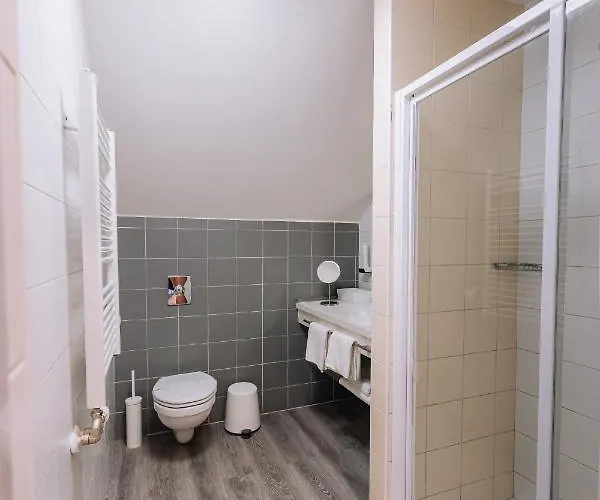 Hotel Vadvirag Panzio 4*